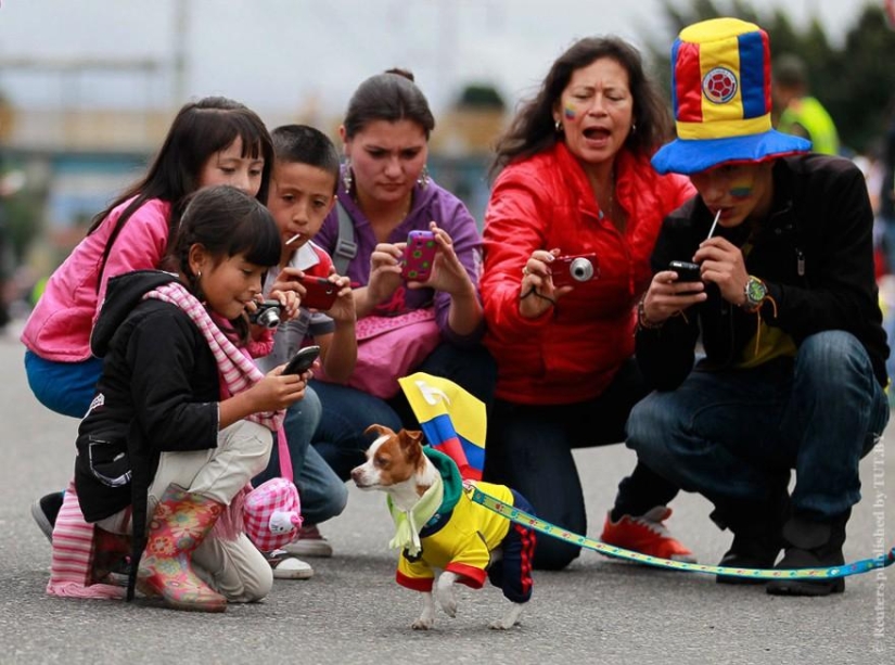 En todo el mundo: cómo se celebra el Día de la Independencia en diferentes países