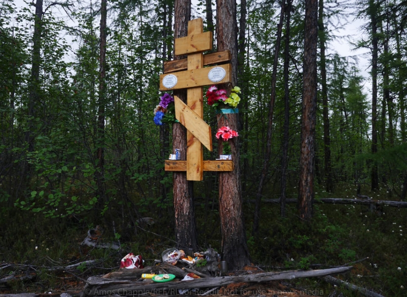 En Yakutia, una nueva " fiebre del oro—: caza de colmillos de mamut