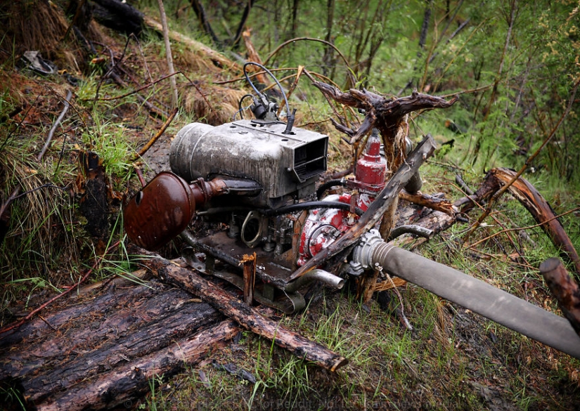 En Yakutia, una nueva " fiebre del oro—: caza de colmillos de mamut