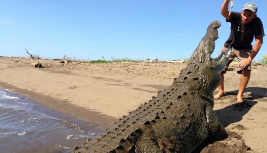 Encantador de cocodrilos de Costa Rica