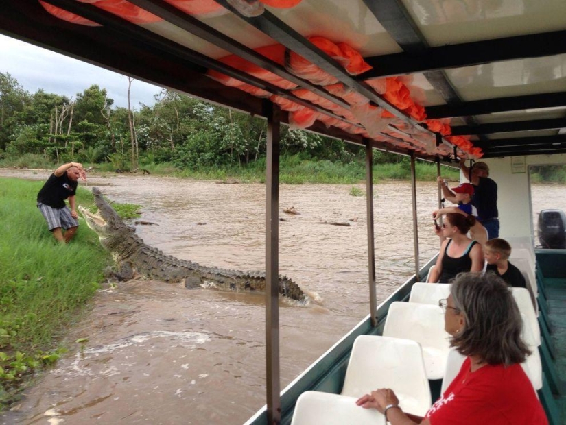 Encantador de cocodrilos de Costa Rica