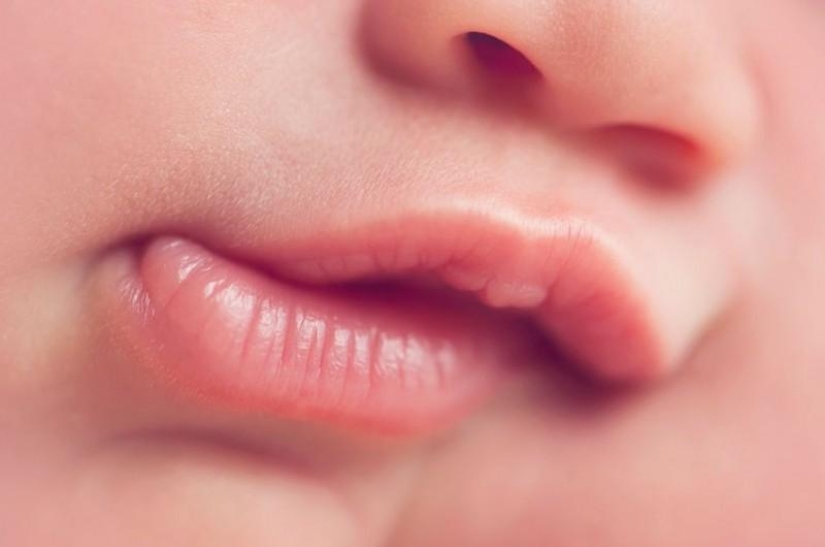 Encantadoras fotos de bebés por Carrie Sandoval Encantadoras fotos de bebés por Carrie Sandoval