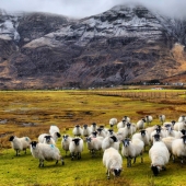 Escocia mágica en diferentes épocas del año
