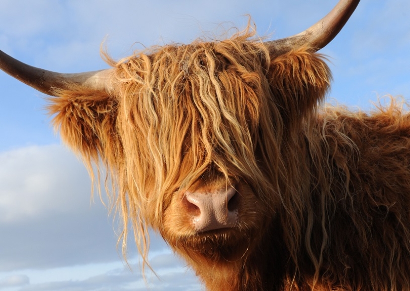 Escocia mágica en diferentes épocas del año Escocia mágica en diferentes épocas del año