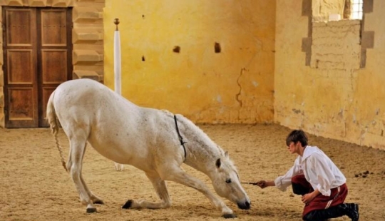escuela de ballet para caballos