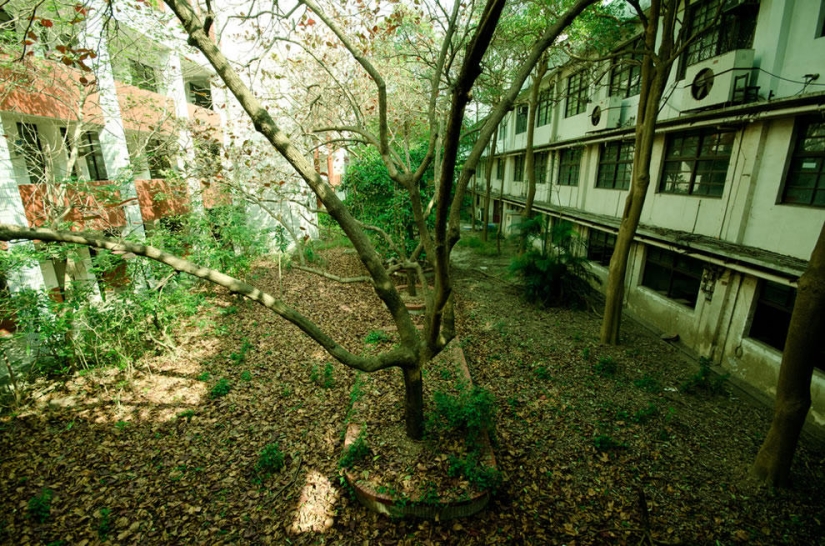 Escuelas y universidades abandonadas en todo el mundo