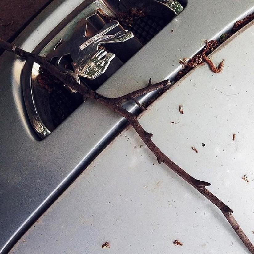 Esquinas en Instagram Zhenya Aerohockey Esquinas en Instagram Zhenya Aerohockey