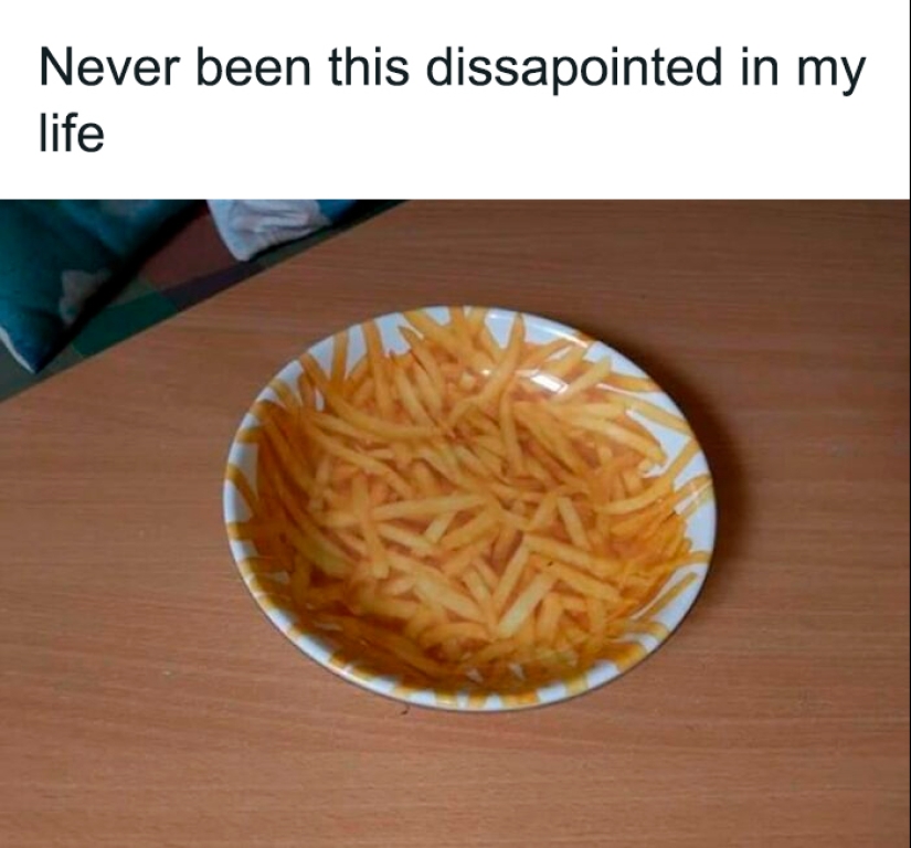 Esta página comparte las fotografías más aleatorias y entretenidas, y aquí tienes 10 de las mejores