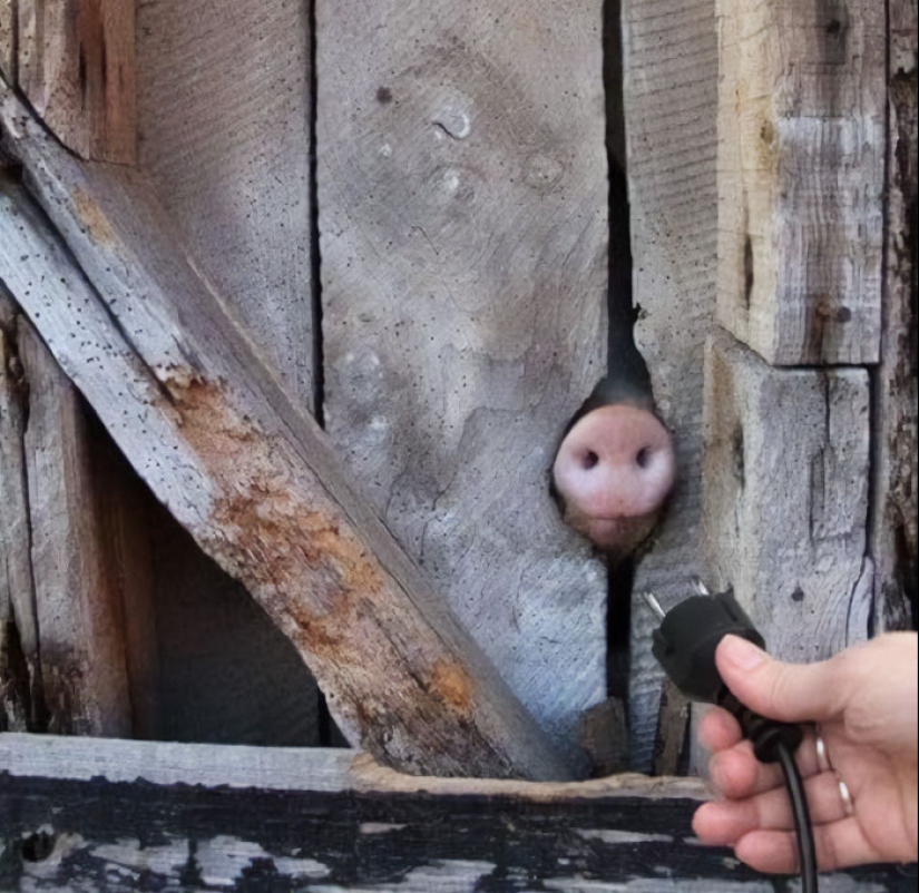 Esta página de IG es un tesoro de imágenes "borrosas", y aquí hay 10 de las más confusas (Parte 2) Esta página de IG es un tesoro de imágenes "borrosas", y aquí hay 10 de las más confusas (Parte 2)