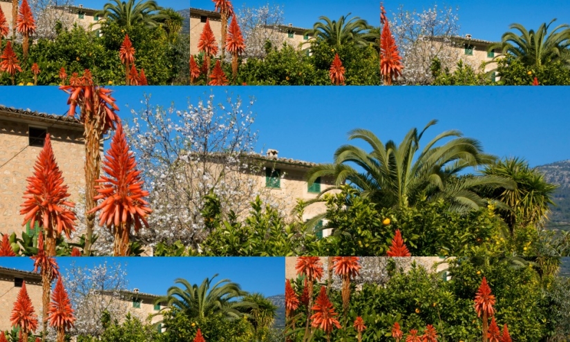 ¡Estaba de vacaciones, te traje (12 millones) fotos!