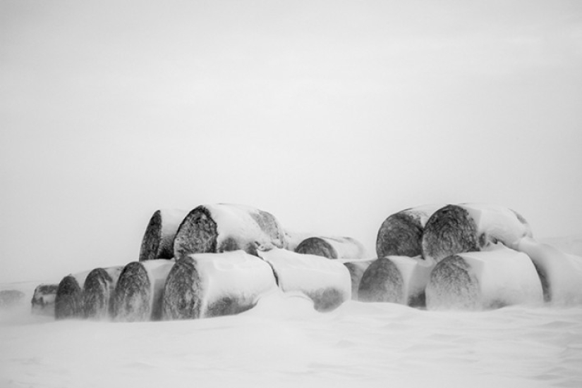 Estado 41: granjeros brutales de Montana Estado 41: granjeros brutales de Montana