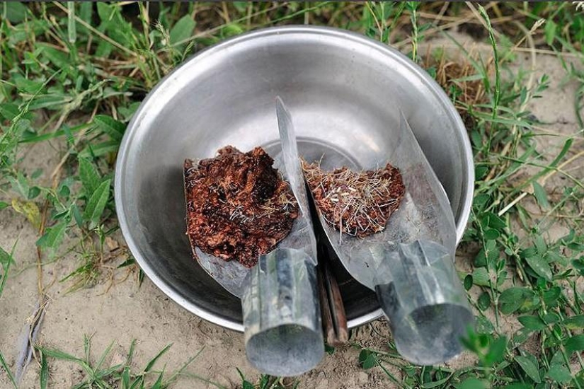 estado de la heroína estado de la heroína