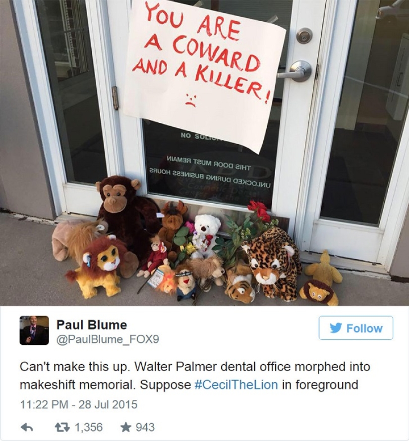 Estadounidense que mató a un famoso león causó furor en Internet y cerró su consultorio dental
