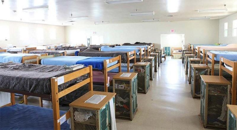 Estadounidenses pobres y sin hogar: ¿cómo viven?