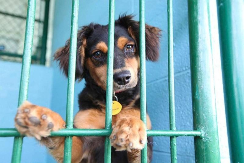 Estadounidenses pobres y sin hogar: ¿cómo viven?