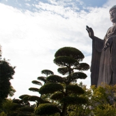 estatuas desde adentro