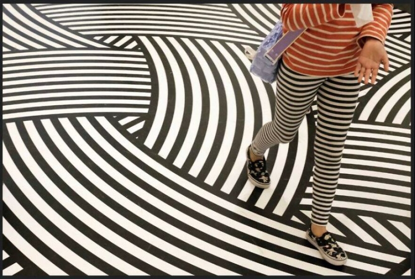 Este fotógrafo capturó divertidas imágenes accidentales mientras paseaba por las calles Este fotógrafo capturó divertidas imágenes accidentales mientras paseaba por las calles