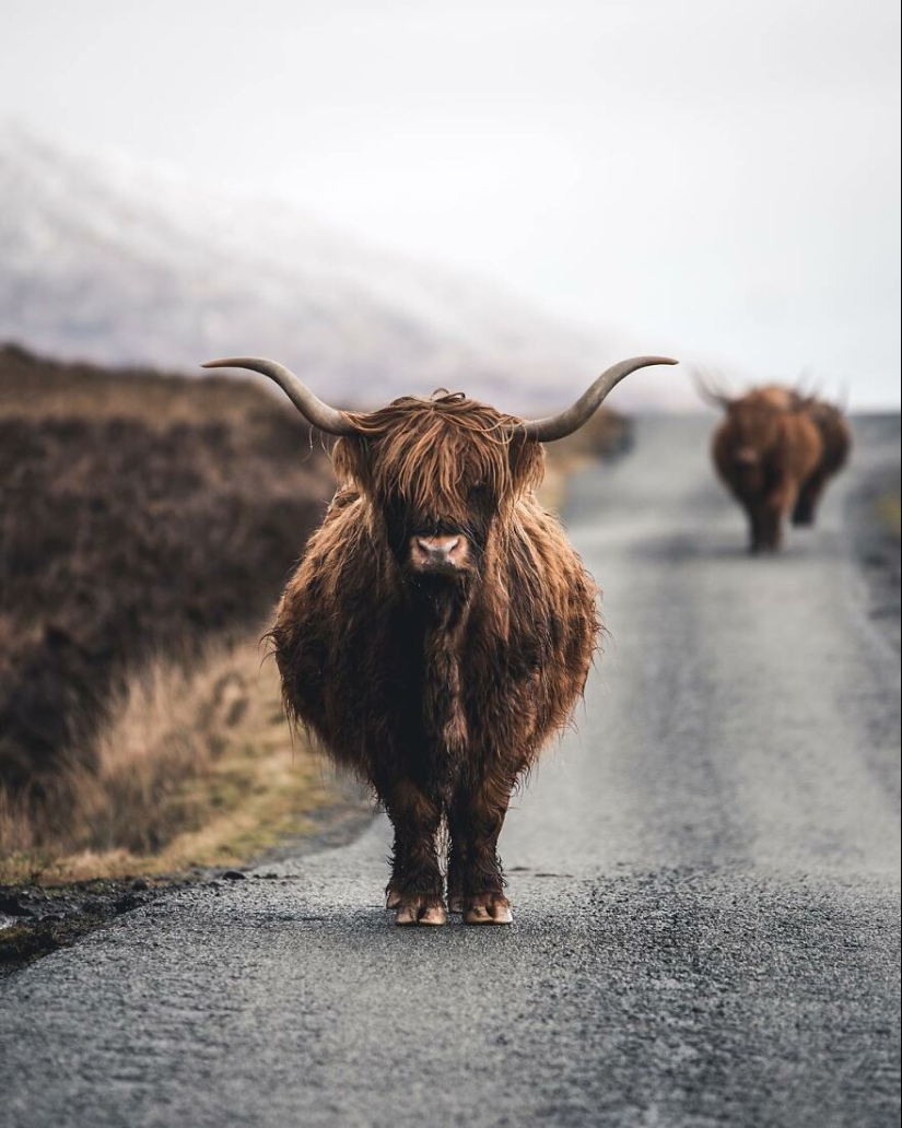 Este fotógrafo toma fotos impresionantes mientras explora el mundo (Parte2) Este fotógrafo toma fotos impresionantes mientras explora el mundo (Parte2)