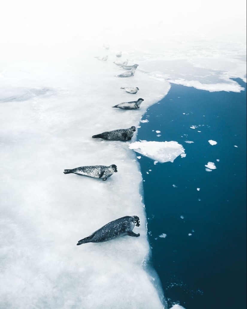 Este fotógrafo toma fotos impresionantes mientras explora el mundo (Parte2) Este fotógrafo toma fotos impresionantes mientras explora el mundo (Parte2)