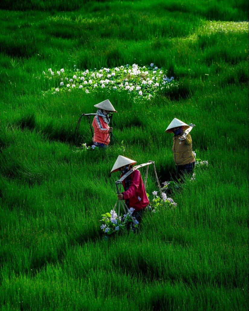 Este fotógrafo toma impresionantes fotos de drones de Vietnam (Parte 2)