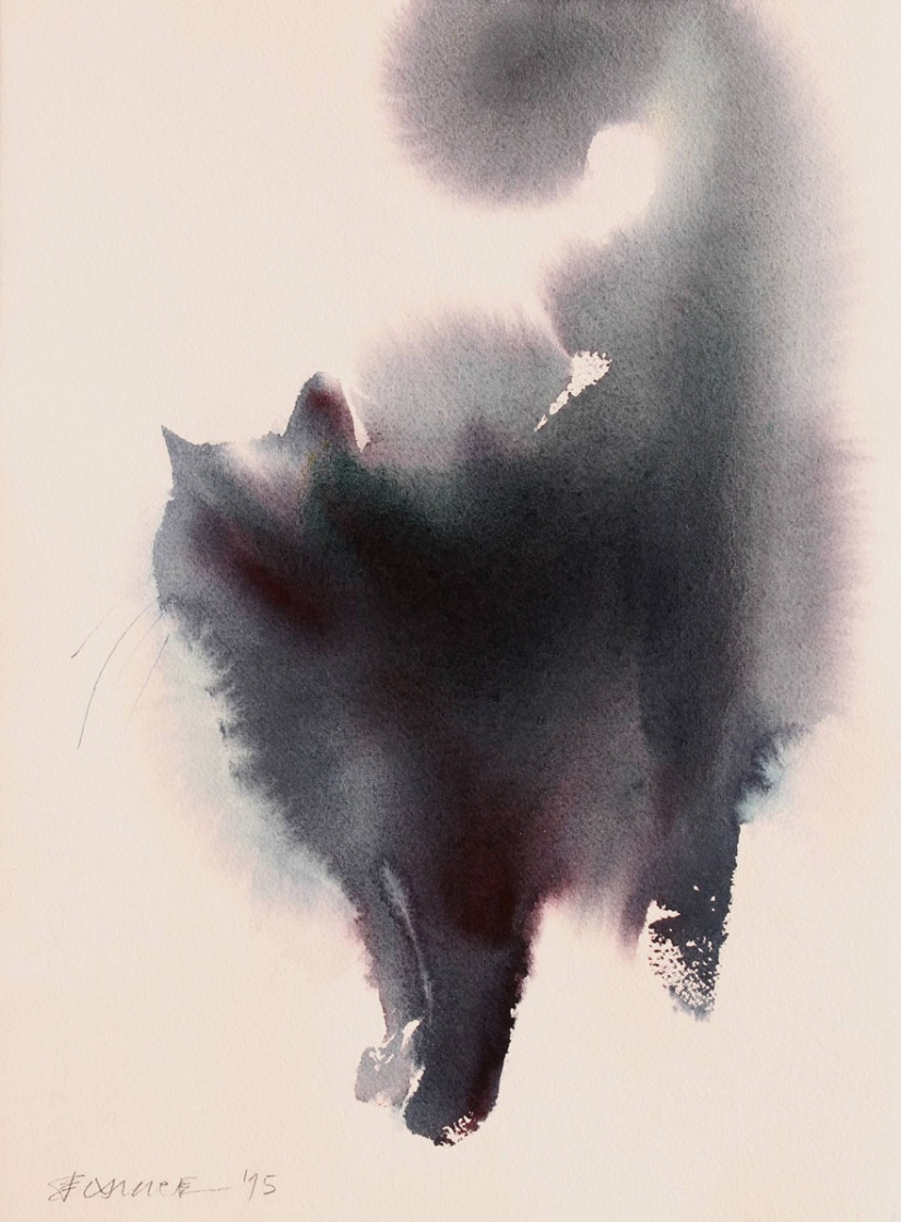 Este gato está esponjoso