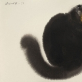 Este gato está esponjoso