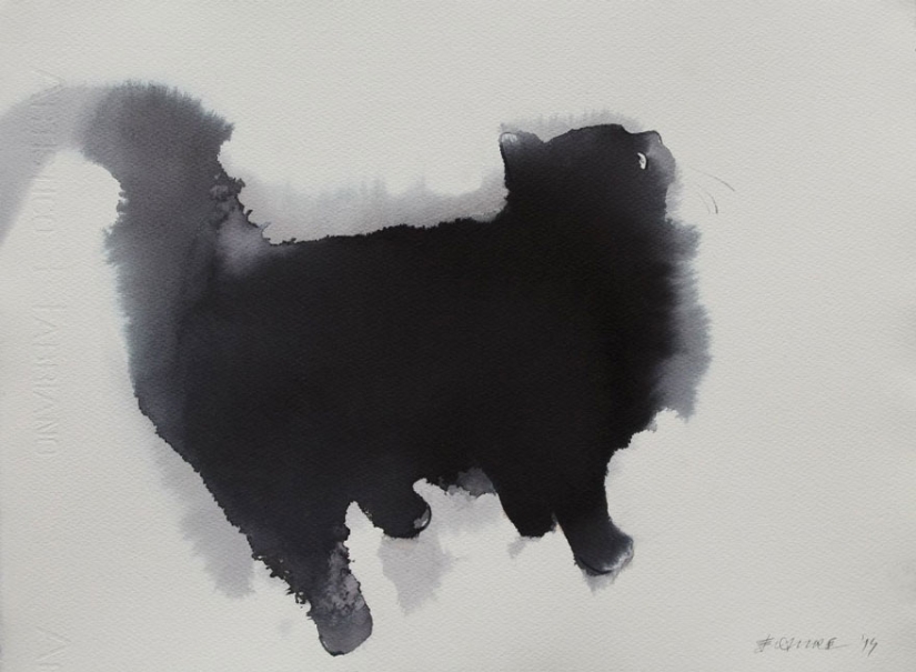 Este gato está esponjoso