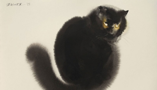 Este gato está esponjoso