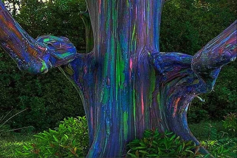 Este no es un cuadro de "Avatar", un árbol crece en la Tierra Este no es un cuadro de "Avatar", un árbol crece en la Tierra