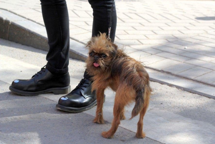 Estilo callejero de Moscú Estilo callejero de Moscú