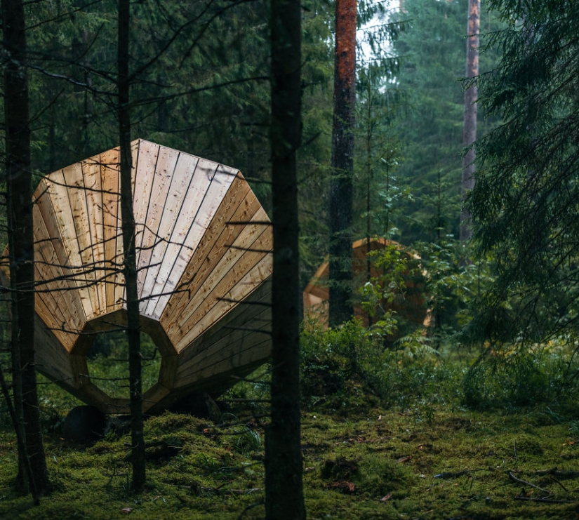 Estonian students built giant horns to listen to the forest