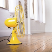 Estos perros están entusiasmados con los fans.