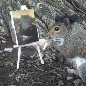 Estudiante estadounidense se hace amigo de las ardillas y las transforma en diferentes disfraces