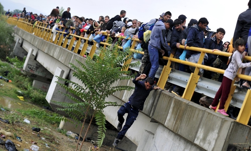 Europe has become one big refugee camp Europe has become one big refugee camp