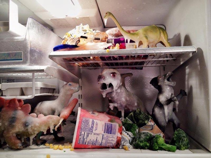 Every night dinosaurs have a row Every night dinosaurs have a row