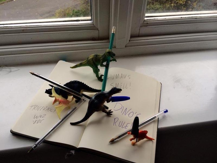 Every night dinosaurs have a row Every night dinosaurs have a row