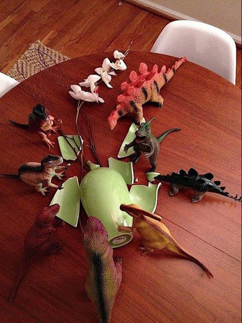Every night dinosaurs have a row Every night dinosaurs have a row