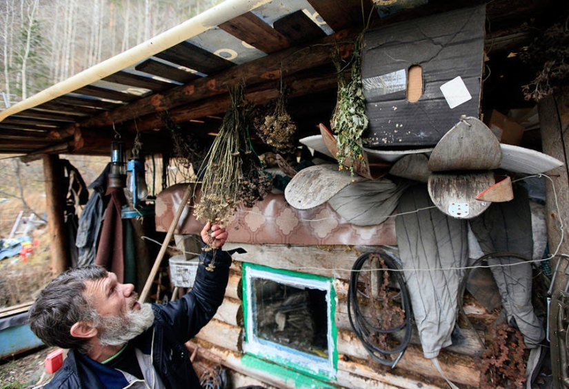 Everyday life of a Siberian hermit