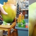 Everyday life of parrot owners in all their glory: 14 funny photos