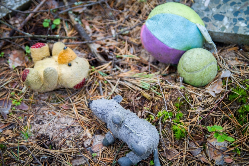 Existen cementerios de mascotas Existen cementerios de mascotas