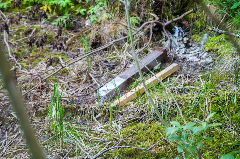 Existen cementerios de mascotas Existen cementerios de mascotas