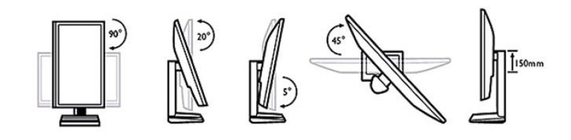 Expanding creative horizons Expanding creative horizons