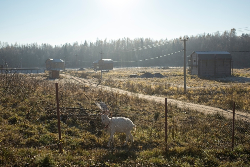 Expedición La Columna Vertebral de Rusia