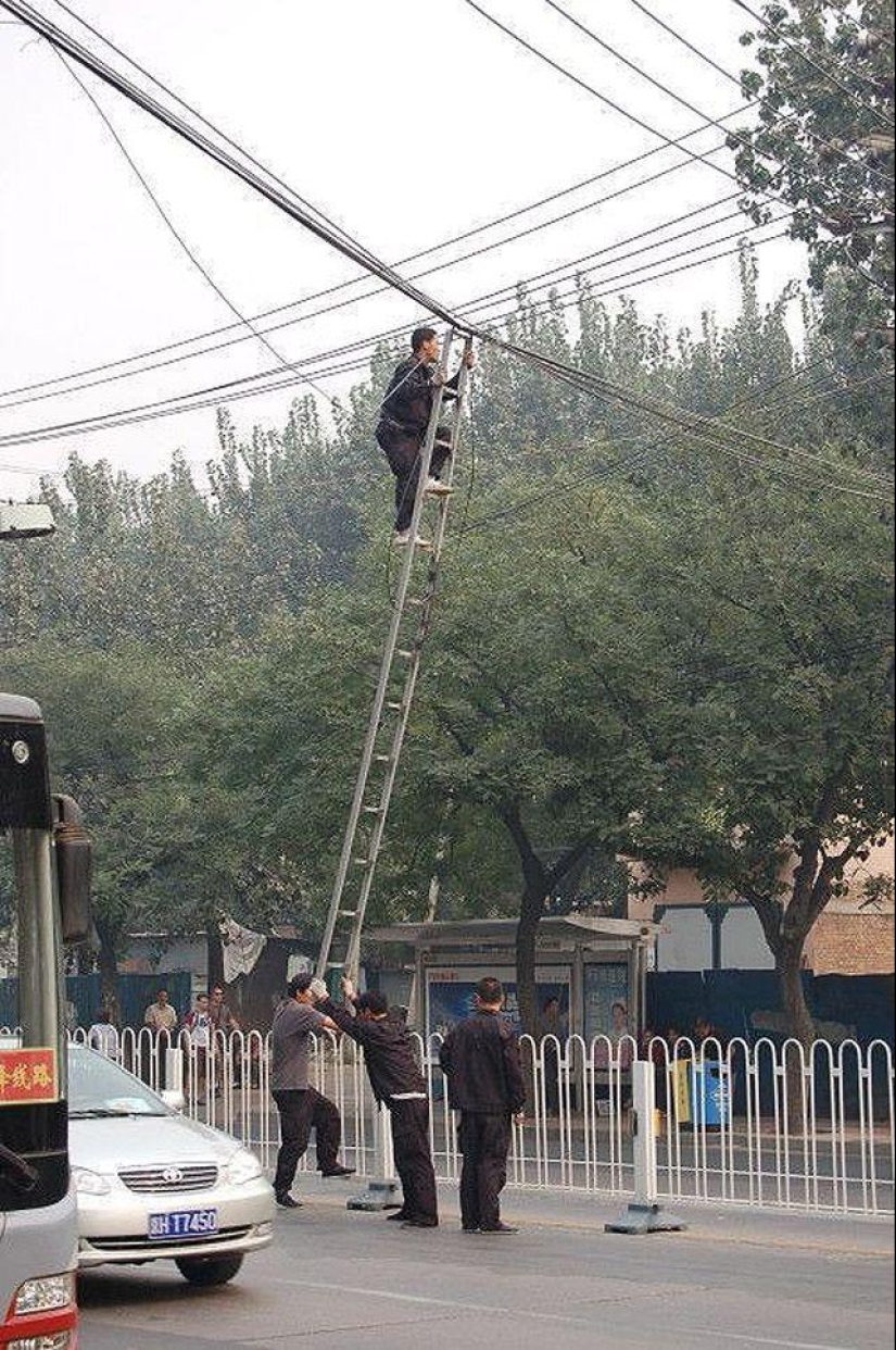 "Experts" in the field of safety