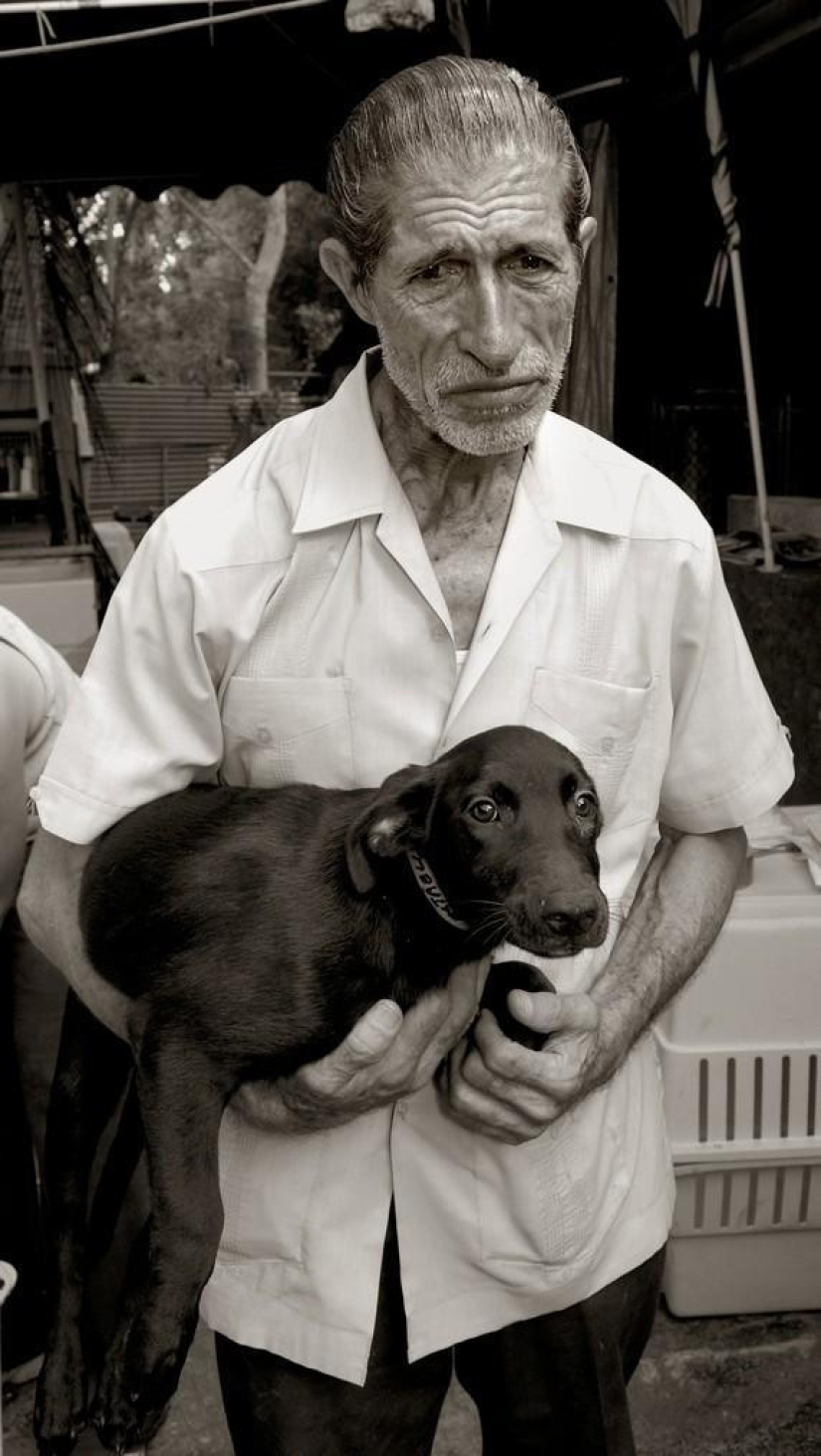 Expressive and touching portraits of street dogs