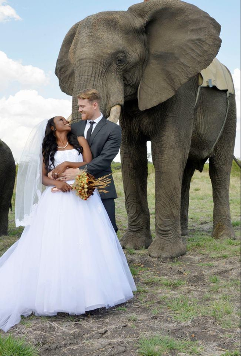 Extraordinary safari wedding in Zimbabwe