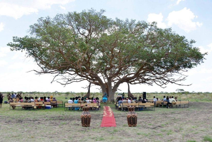 Extraordinary safari wedding in Zimbabwe