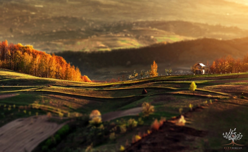 Fabulosas fotos de otoño de Rumania tomadas en cámara por solo $250 Fabulosas fotos de otoño de Rumania tomadas en cámara por solo $250