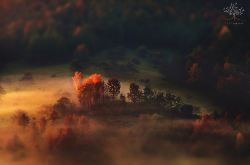 Fabulosas fotos de otoño de Rumania tomadas en cámara por solo $250 Fabulosas fotos de otoño de Rumania tomadas en cámara por solo $250