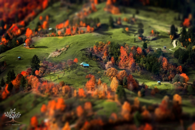 Fabulosas fotos de otoño de Rumania tomadas en cámara por solo $250 Fabulosas fotos de otoño de Rumania tomadas en cámara por solo $250